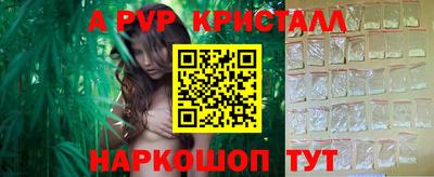 гашик Шебекино