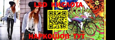 гашик Шебекино