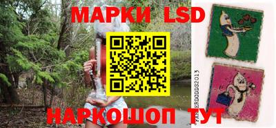 гашик Шебекино
