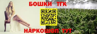 гашик Шебекино