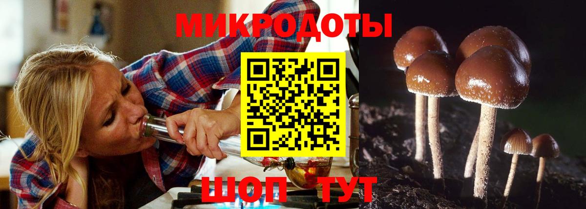 Псилоцибиновые грибы мицелий Кропоткин