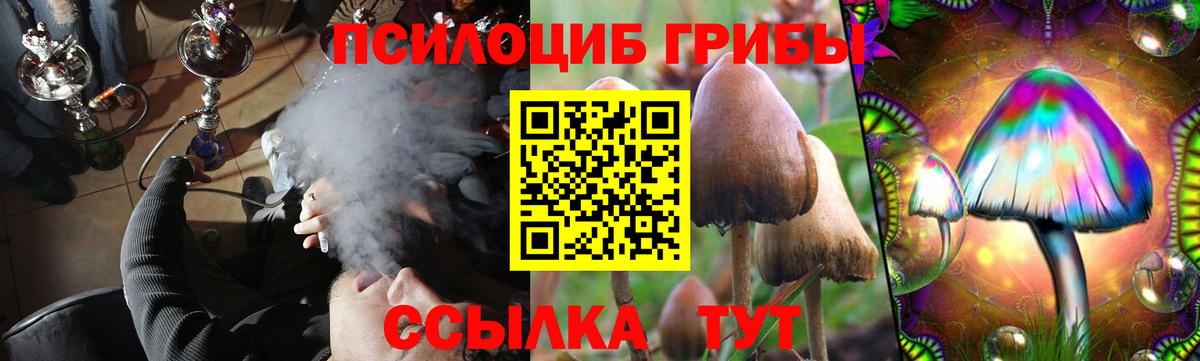 Кропоткин  Галлюциногенные грибы GOLDEN TEACHER  наркотики  Вход с VPN  Псилоцибиновые грибы MAGIC MUSHROOMS 